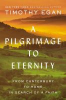 A pilgrimage to eternity : from Canterbury to Rome in search of a faith
