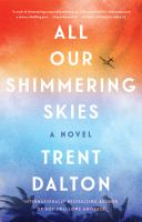 All our shimmering skies : a novel