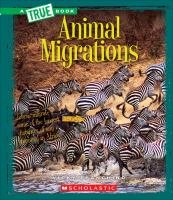 Animal migrations
