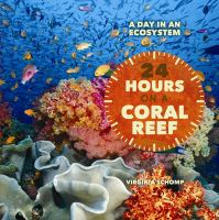24 Hours on a coral reef