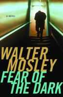 Fear of the dark : a novel