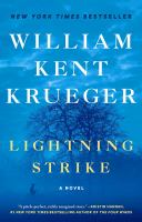 Lightning strike : a novel